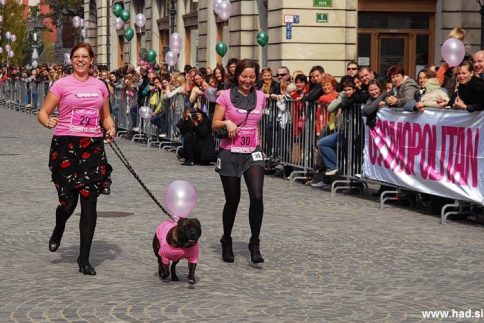 cosmo tek v petkah fotografije 11