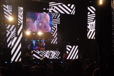 zur_z_razlogom_2011_03