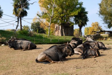 parco_natura_viva_02