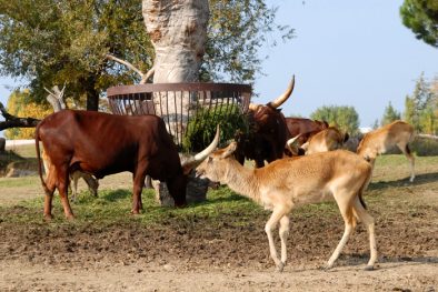 parco_natura_viva_03