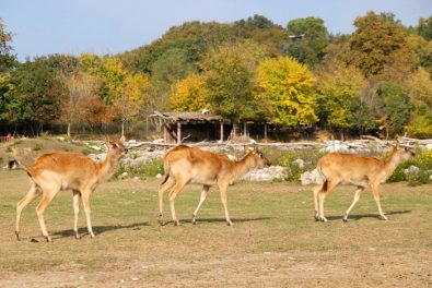 parco_natura_viva_04