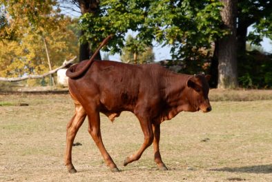 parco_natura_viva_05