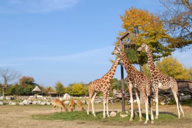 parco_natura_viva_07