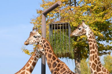 parco_natura_viva_08