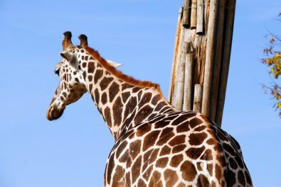 parco_natura_viva_10