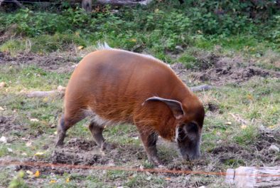 parco_natura_viva_12