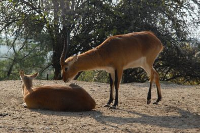 parco_natura_viva_15