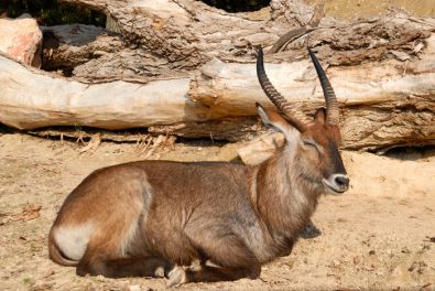 parco_natura_viva_16