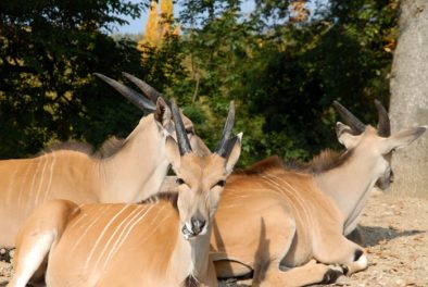 parco_natura_viva_17