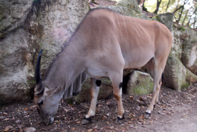 parco_natura_viva_18