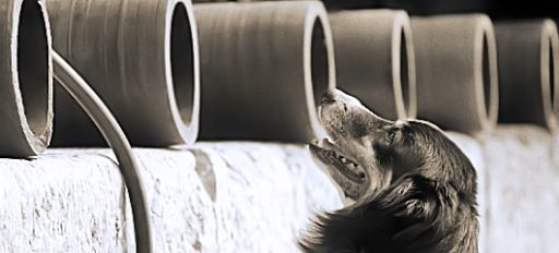 Otok Krk - črno bele fotografije 2