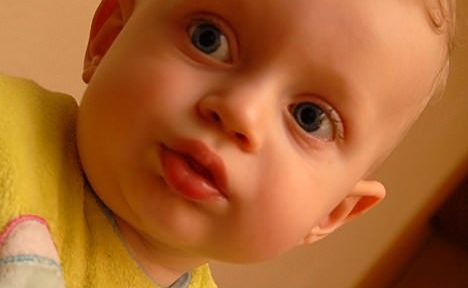 Lijon - najmlajši obiskovalec na Prhovcu 1