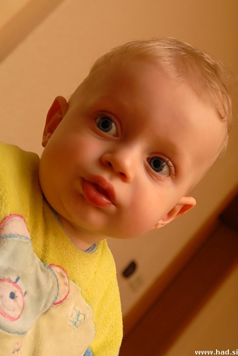 Lijon - najmlajši obiskovalec na Prhovcu 1