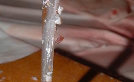 Koline, furež, koljereja ali praščina