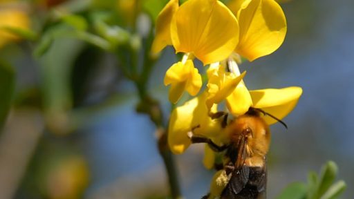 Sobotni dan na Mobikrogu 1