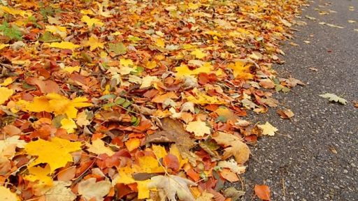 Jesenska rapsodija 1