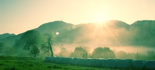 Jutro je lahko tudi takšno 2