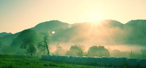 Jutro je lahko tudi takšno 2