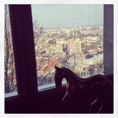 restavracija_strelec_004