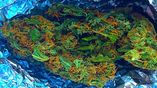 Industrijska konoplja #not