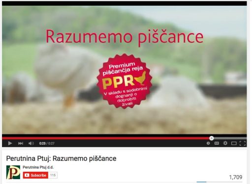 Perutnina Ptuj: Razumemo piščance