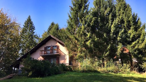 Lumberjack / podiranje smrek