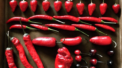 Čili v vsak dom / Bohorc čili