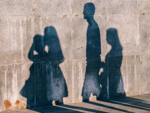Fancycrave 427217 Unsplash