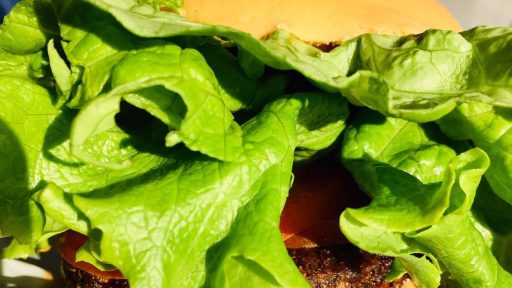 Hood Burger vegan burger Vegan Hood 6