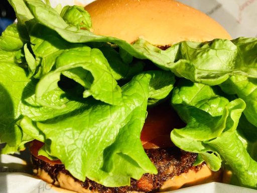 Hood Burger vegan burger Vegan Hood 6
