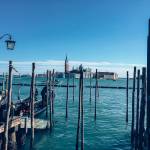 Karneval Benetke 2019 Venice Carnival 2019 47