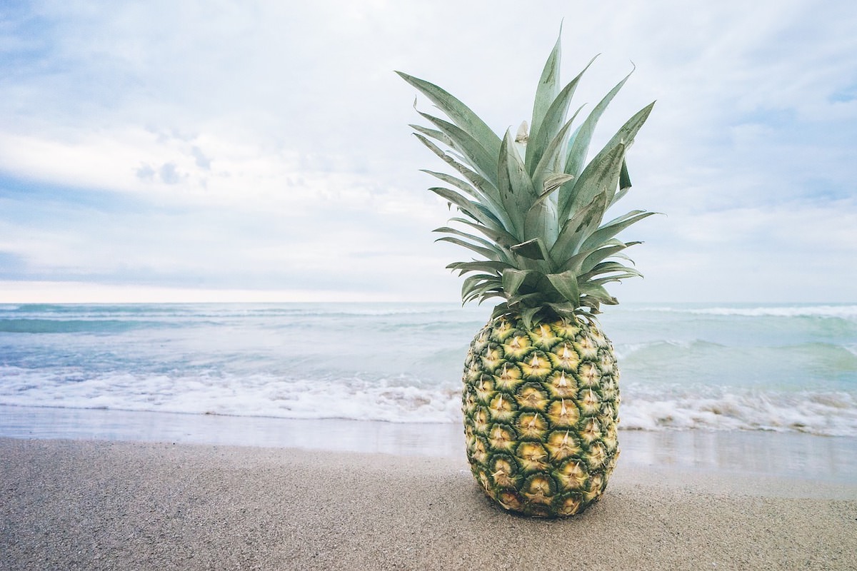 Kako pravilno jesti ananas ananas evforija zajela internete Kako pravilno jesti ananas ananas evforija zajela internete