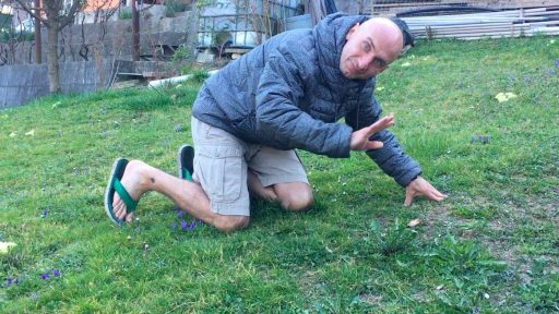 Nabiranje in priprava regrata na veganski način joke sala vic