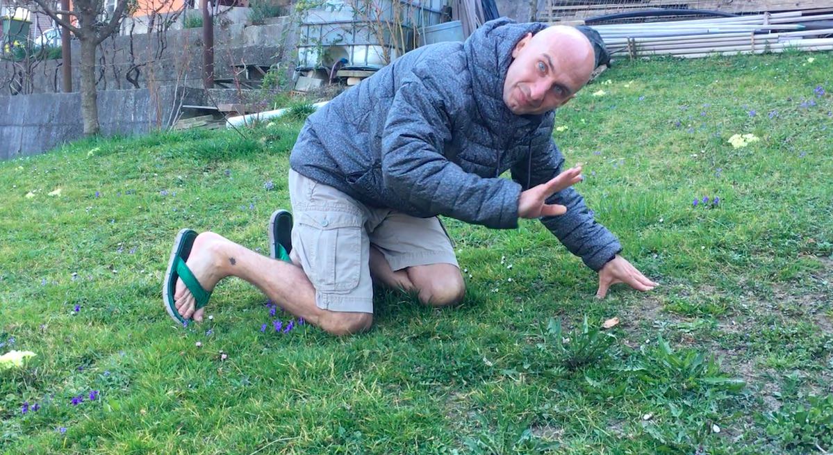 Nabiranje in priprava regrata na veganski način joke sala vic