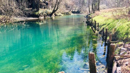 Skok v izvir Ljubljanice Mocilnik 8 stopinj2