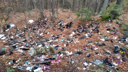 Deichmann onesnazuje naravo