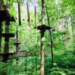 Adrenalinski park Erlebniswald Mainau 1