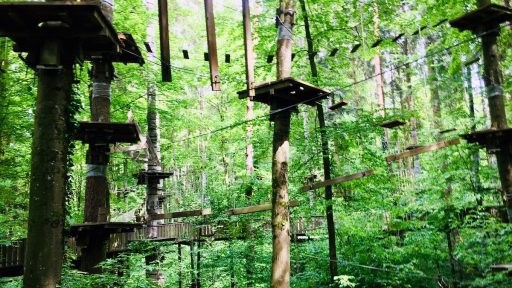 Adrenalinski park Erlebniswald Mainau 1