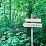 Adrenalinski park Erlebniswald Mainau 2