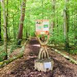 Adrenalinski park Erlebniswald Mainau 3