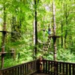 Adrenalinski park Erlebniswald Mainau 5