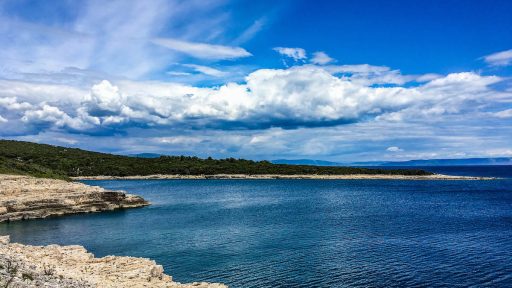 Kavran Istra photos2