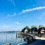 Koliscarska vas Pfahlbauten7