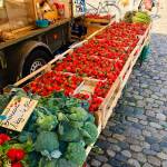 Mesto Freiburg smucisce Schauinsland in Schlossberg 10