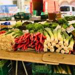Mesto Freiburg smucisce Schauinsland in Schlossberg 12