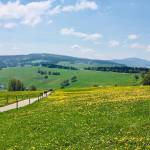 Mesto Freiburg smucisce Schauinsland in Schlossberg 19