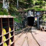 Mesto Freiburg smucisce Schauinsland in Schlossberg 21