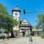 Mesto Freiburg smucisce Schauinsland in Schlossberg 24