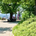 Mesto Freiburg smucisce Schauinsland in Schlossberg 31