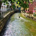 Mesto Freiburg smucisce Schauinsland in Schlossberg 6